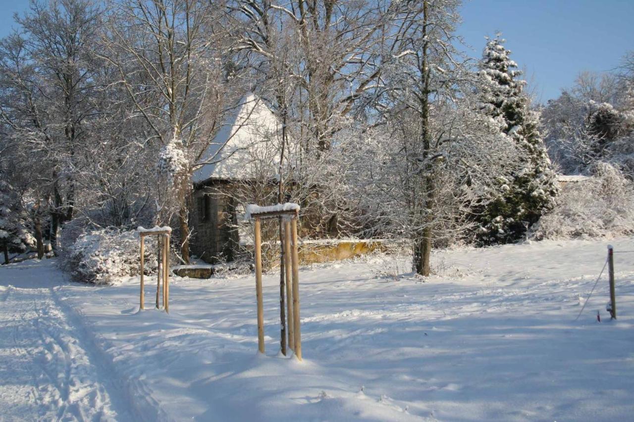 Hotel Und Restaurant Rittergut Kreipitzsch เนาม์บวร์ก ภายนอก รูปภาพ