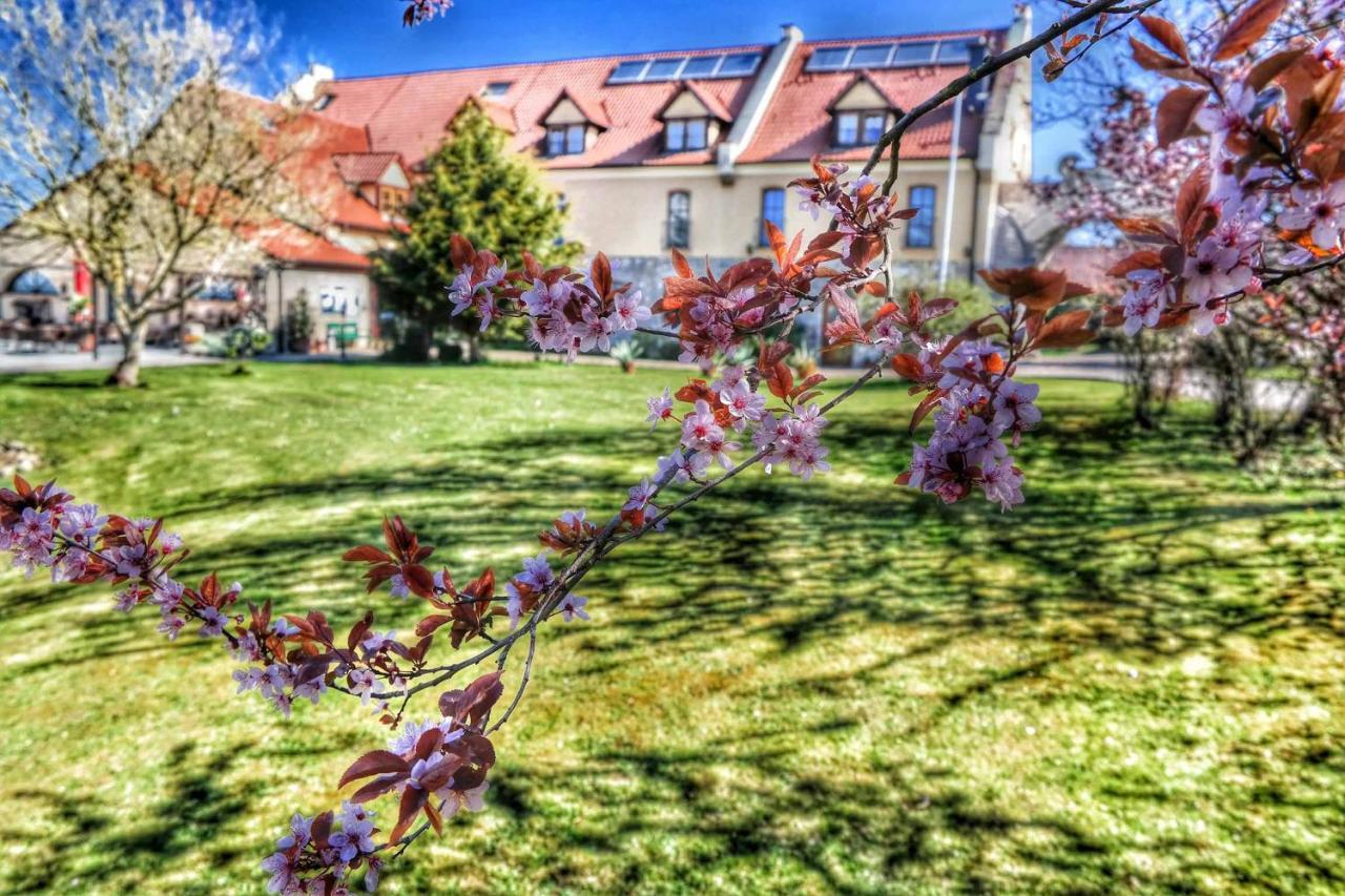 Hotel Und Restaurant Rittergut Kreipitzsch เนาม์บวร์ก ภายนอก รูปภาพ